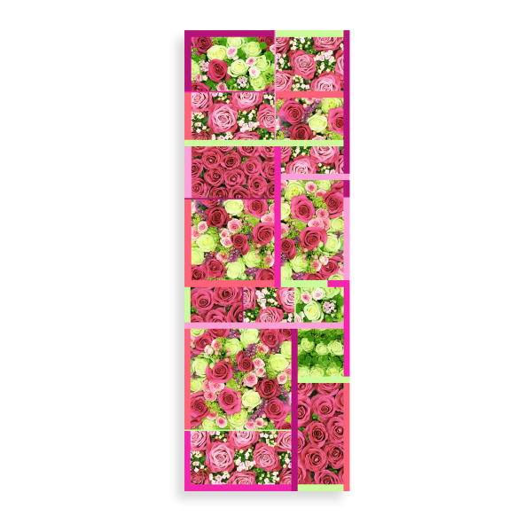 Women's-silk-cotton-pink-printed-stole-Roses